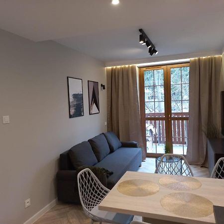 Apartament Centrum - Szum Potoku 卡尔帕奇 外观 照片