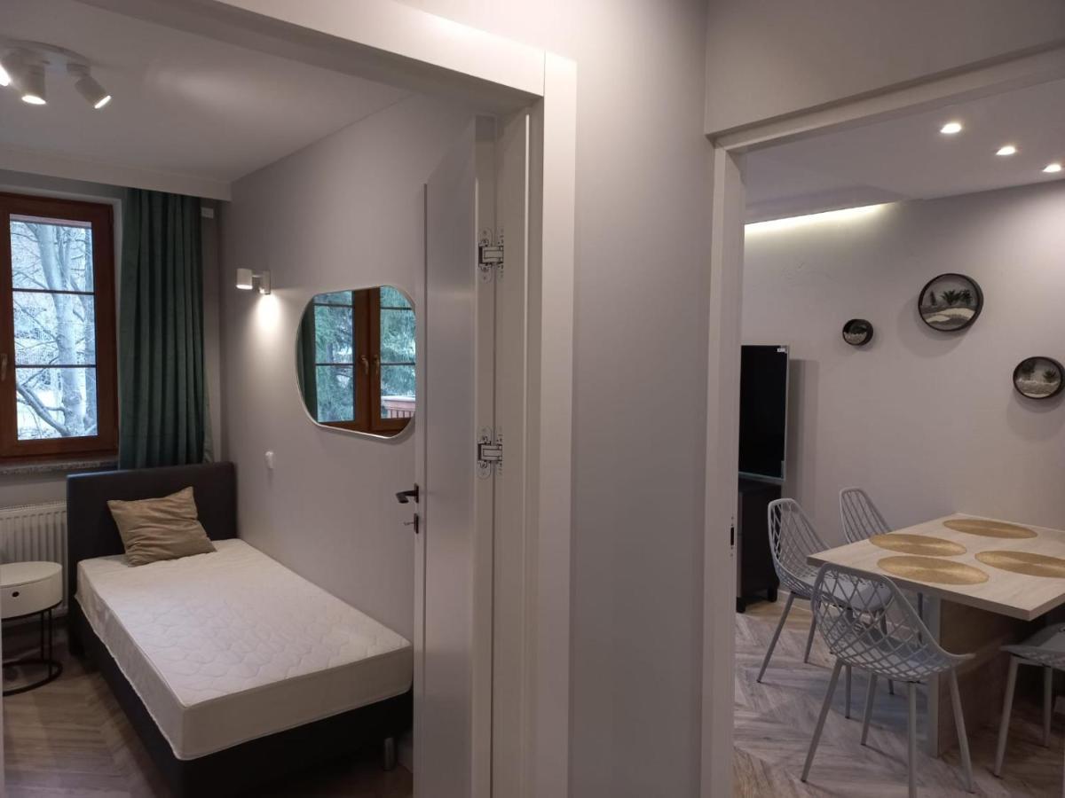 Apartament Centrum - Szum Potoku 卡尔帕奇 外观 照片
