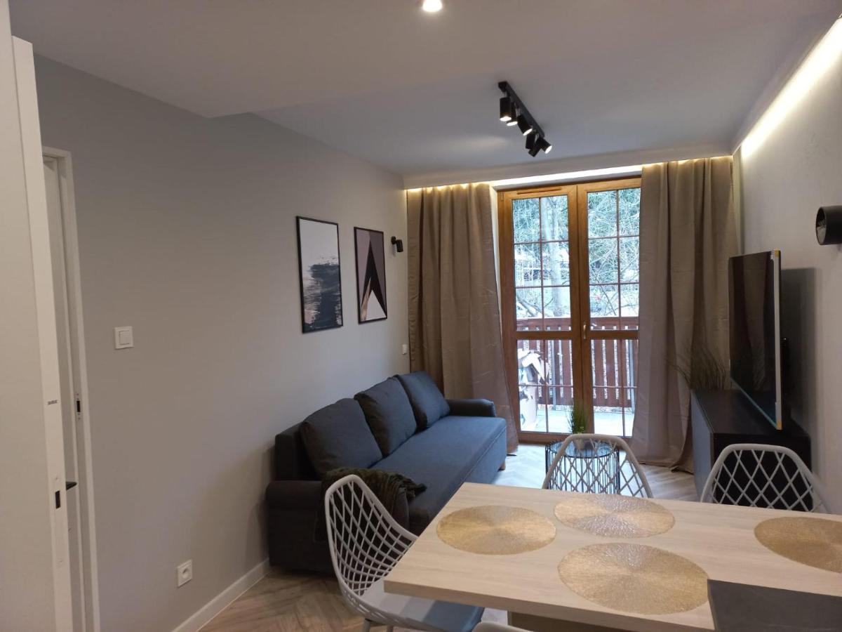 Apartament Centrum - Szum Potoku 卡尔帕奇 外观 照片